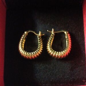 EverTrue Bronzella Collection Twisted Rope Hoop Earrings in 18K YG Plated Bronze